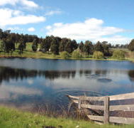 Glenlynn Cottages - Accommodation Sunshine Coast