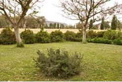 Claremont Cottage - Accommodation Sunshine Coast 2