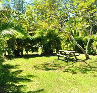 Wooli Caravan Park - Accommodation Sunshine Coast