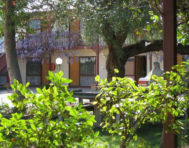 Central Motor Inn Wentworth - Accommodation Sunshine Coast 2