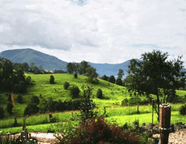 Nimbin Rox YHA - Accommodation Sunshine Coast 1