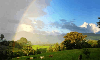 Nimbin Rox YHA - Accommodation Sunshine Coast 3