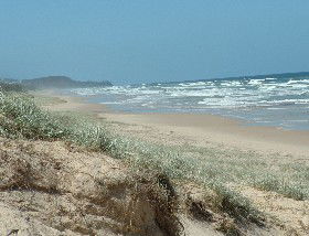 Beachcomber Peregian Beach - Accommodation Sunshine Coast 4