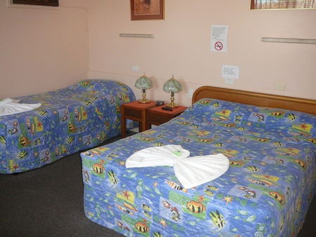 Civic Motel Grafton - Accommodation Sunshine Coast 2