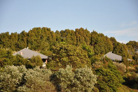 Tallaringa Views - Accommodation Sunshine Coast 0