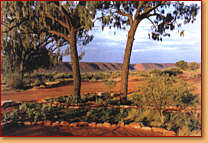 Kings Creek Station - Accommodation Sunshine Coast 1
