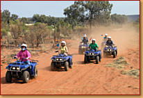 Kings Creek Station - Accommodation Sunshine Coast 3