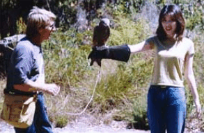 Eagles Heritage Raptor Wildlife Centre - Accommodation Sunshine Coast 2