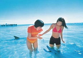  Accommodation Sunshine Coast