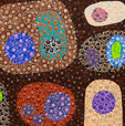 Turner Galleries - Accommodation Sunshine Coast