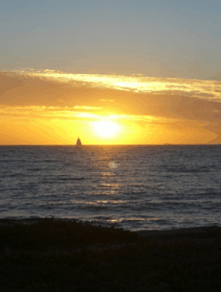 Kidogo Arthouse - Accommodation Sunshine Coast 1