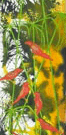 Jahroc Mill Gallery - Accommodation Sunshine Coast 3