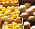Brisbane Markets - Accommodation Sunshine Coast