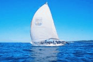 Manly Harbour Village - Accommodation Sunshine Coast 0