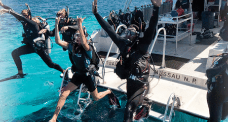 Snorkel Safari Brisbane - Accommodation Sunshine Coast