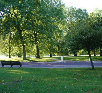 Roma Street Parkland - Accommodation Sunshine Coast