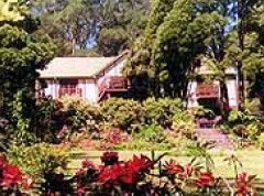 Delvin Health Retreat - Accommodation Sunshine Coast 0