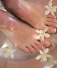 Orchid Day Spa - Accommodation Sunshine Coast 0