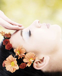 Retreat In The Suburbs - Accommodation Sunshine Coast 2