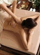 Argital Clay Australia - Accommodation Sunshine Coast 1