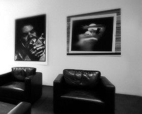 Eleven40 Gallery - Accommodation Sunshine Coast 0