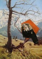 Gilligan Grant Gallery - Accommodation Sunshine Coast 3