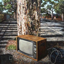 Chapman & Bailey - Accommodation Sunshine Coast 3