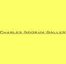 Charles Nodrum Gallery - Accommodation Sunshine Coast