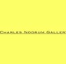 Charles Nodrum Gallery - Accommodation Sunshine Coast 0