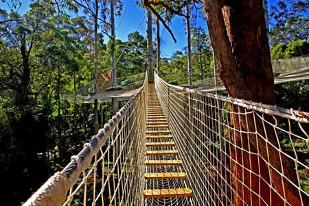  Accommodation Sunshine Coast