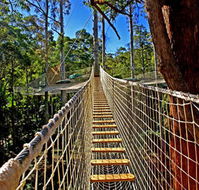 Thunderbird Park - Accommodation Sunshine Coast