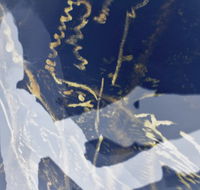Warburton Lane Exhibits - Accommodation Sunshine Coast