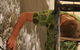 Tinning Street Gallery - thumb 3