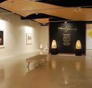 Counihan Gallery In Brunswick - Accommodation Sunshine Coast