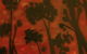Louey & Lane Gallery - thumb 3