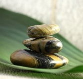 The Nature of Balance - Accommodation Sunshine Coast