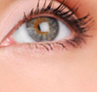 Cinnamon Stix Hair  Day Spa - Accommodation Sunshine Coast