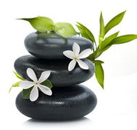 Tea House Spa Sauna - Accommodation Sunshine Coast