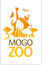 Mogo NSW Accommodation Sunshine Coast