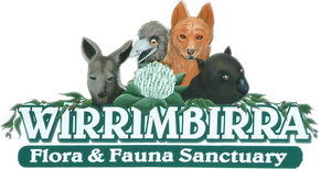 Wirrimbirra Sanctuary - Accommodation Sunshine Coast 0