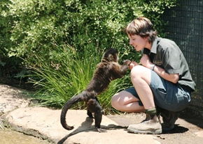National Zoo & Aquarium - Accommodation Sunshine Coast 1