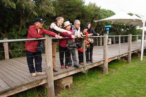 Phillip Island Penguin Parade - Accommodation Sunshine Coast 1