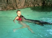 Underwater World - Accommodation Sunshine Coast 2