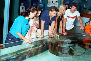 Underwater World - Accommodation Sunshine Coast 3