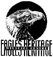 Eagles Heritage - Accommodation Sunshine Coast
