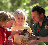 Cleland Wildlife Park - Accommodation Sunshine Coast