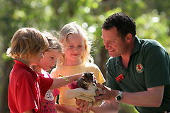 Cleland Wildlife Park - Accommodation Sunshine Coast 0