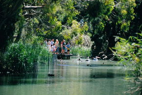 Cleland Wildlife Park - Accommodation Sunshine Coast 1