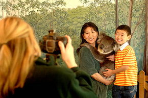 Cleland Wildlife Park - Accommodation Sunshine Coast 2