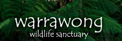 Warrawong Wildlife Park - Accommodation Sunshine Coast 0